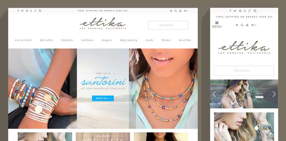 CMS Theme
