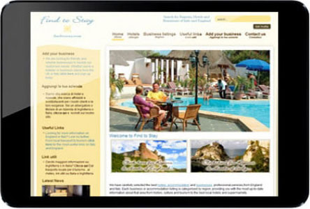 CMS Theme
